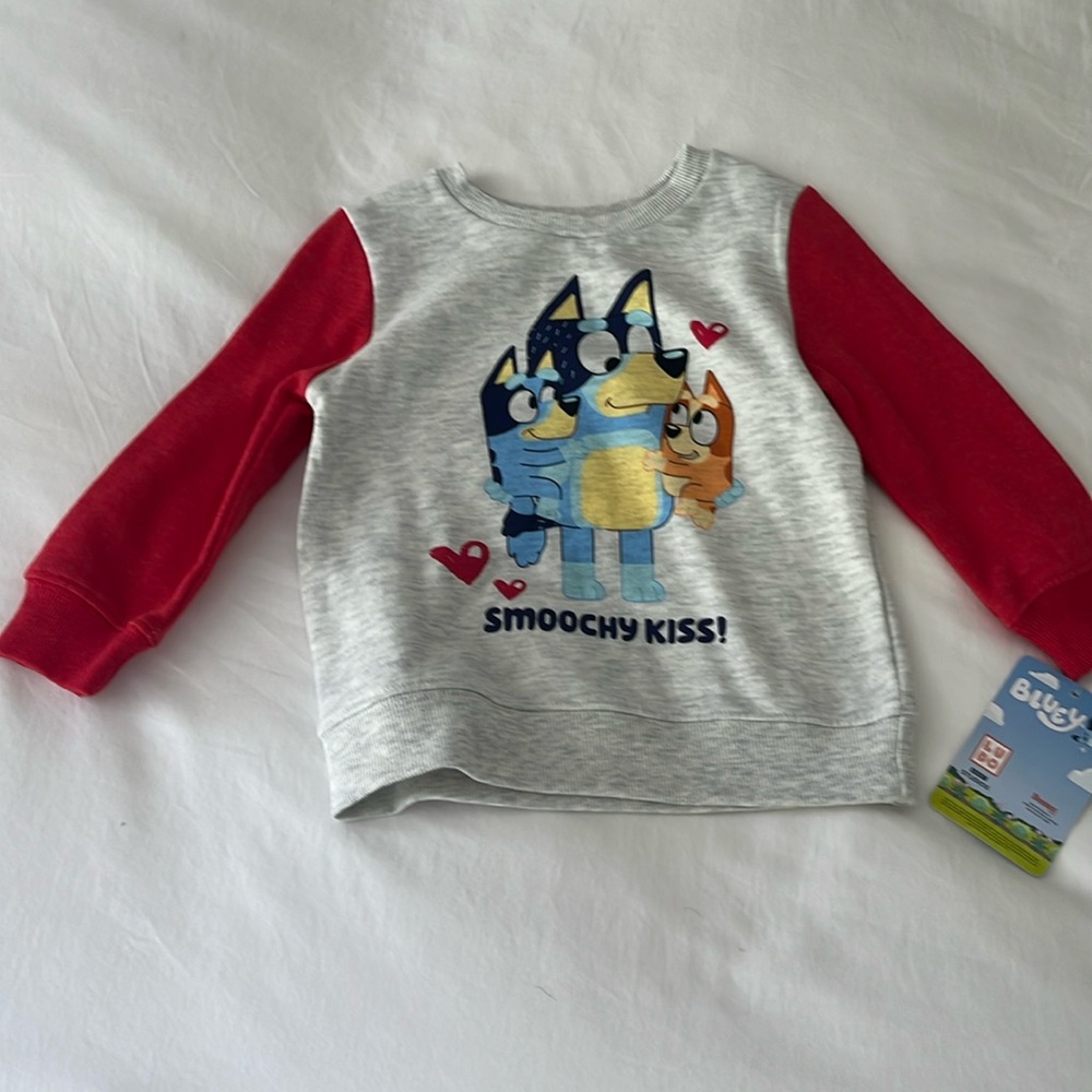 Bluey Valentines Shirt